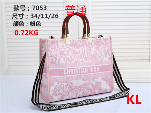 Dior bag-0019