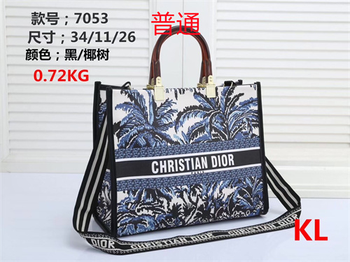 Dior bag-0022