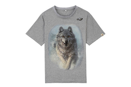 NFL T-shirt-M(10)-297