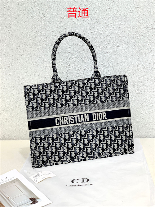 Dior bag-0036