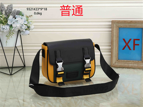 Coach small bag-0018