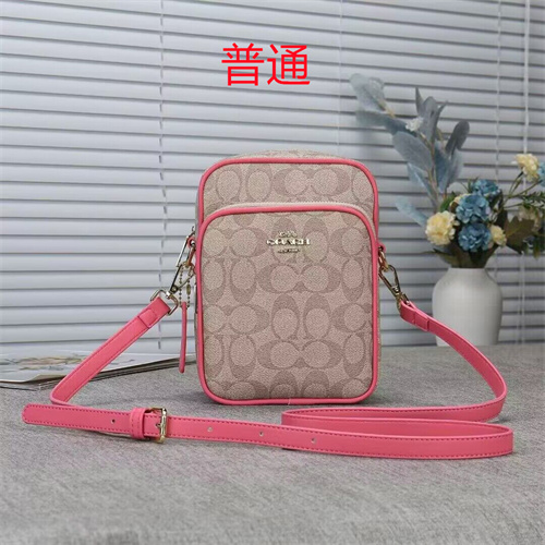 Coach small bag-0028