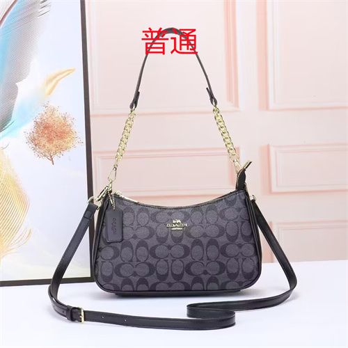 Coach small bag-0031