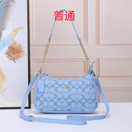 Coach small bag-0035