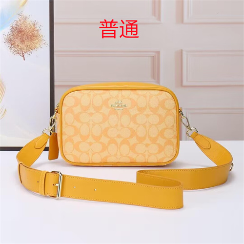 Coach small bag-0039