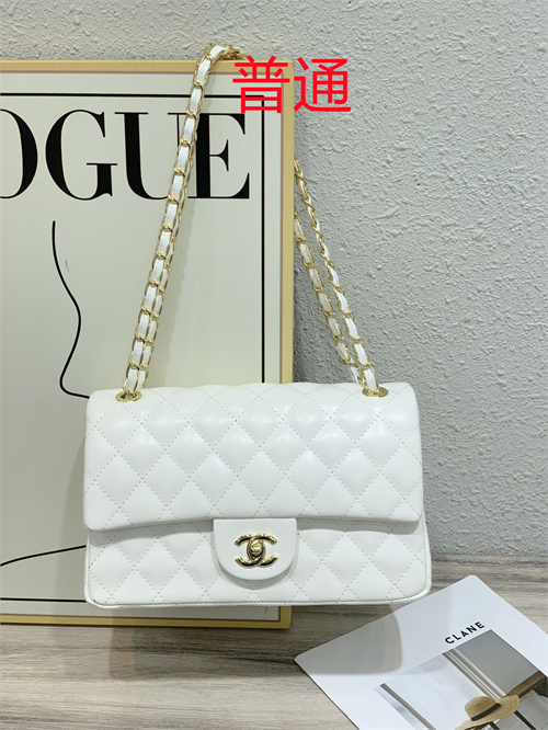Chanel bag-0002