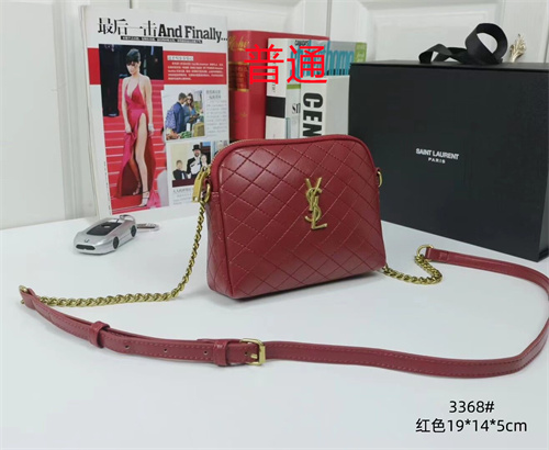 YSL small bag-0043