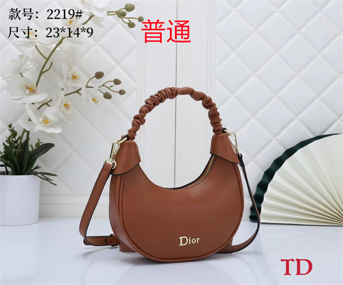 Dior small bag-0040