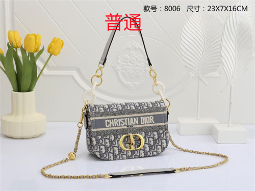 Dior small bag-0054