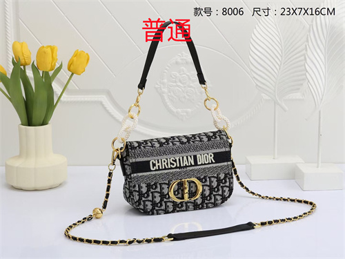 Dior small bag-0055