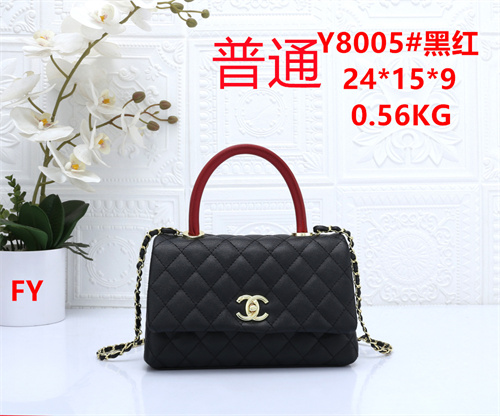 Chanel bag-0066