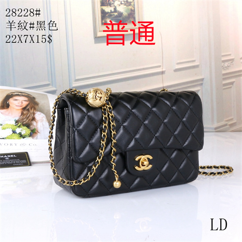 Chanel small bag-0021