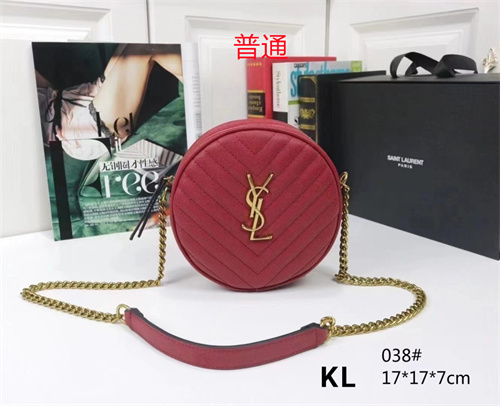 YSL small bag-0050