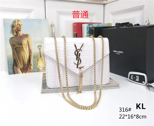 YSL small bag-0053