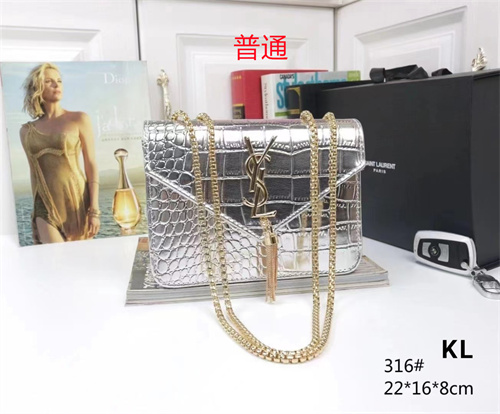 YSL small bag-0055