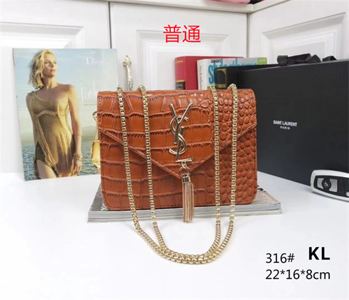 YSL small bag-0057