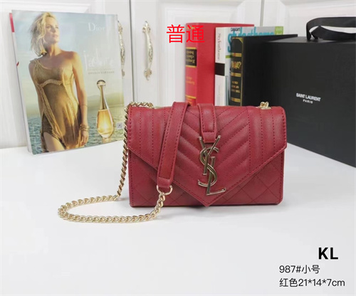 YSL small bag-0080