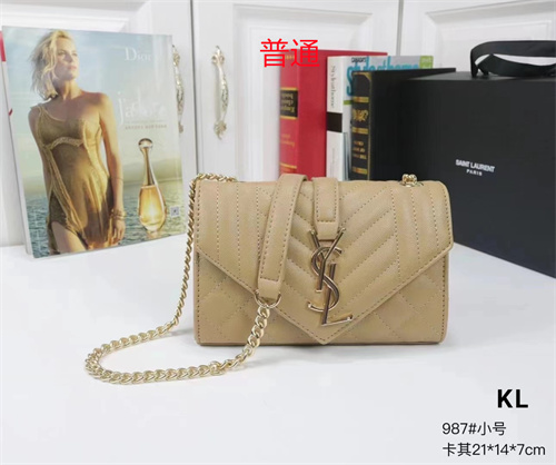 YSL small bag-0081