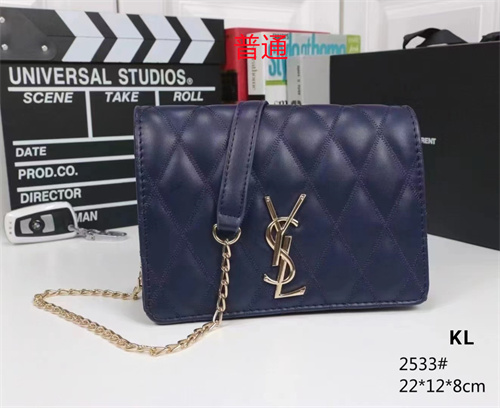 YSL small bag-0091