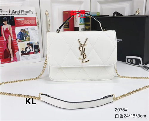 YSL small bag-0095