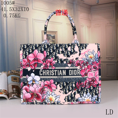 Dior bag-0078