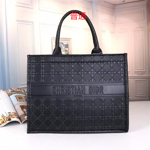 Dior bag-0080