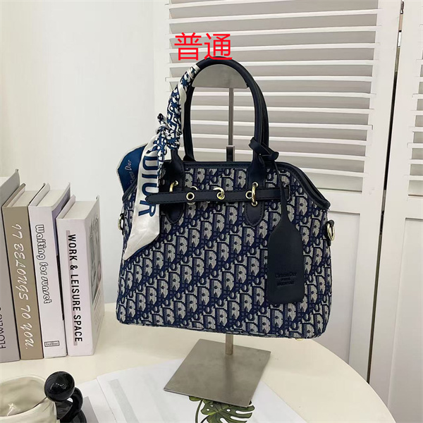 Dior bag-0102