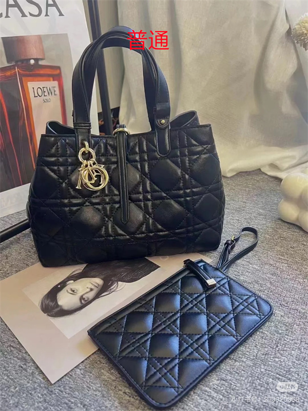 Dior bag-0108