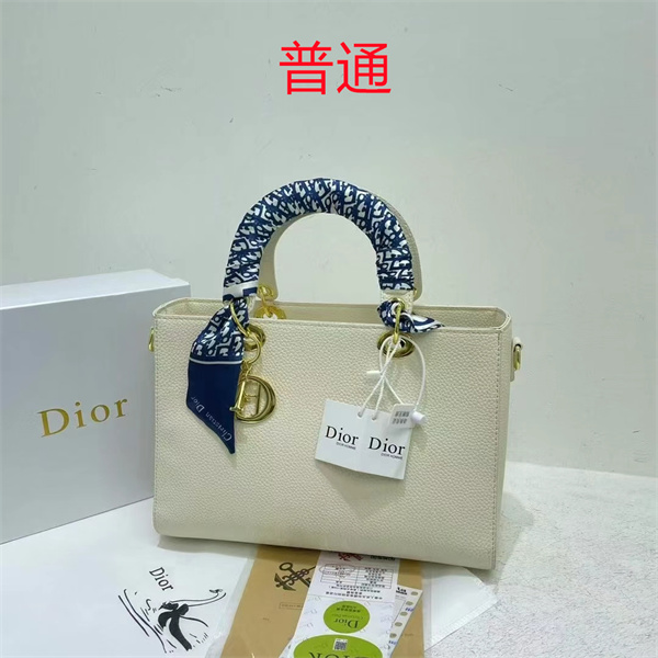 Dior bag-0113