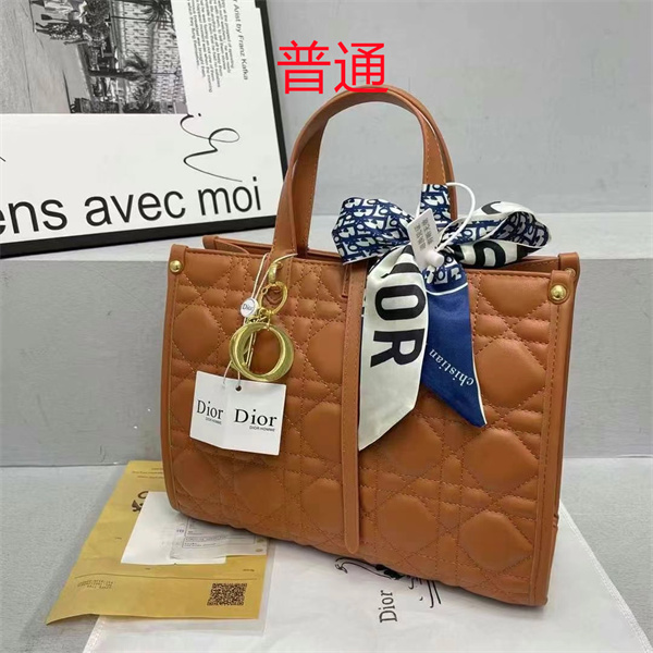 Dior bag-0123
