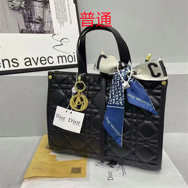 Dior bag-0126