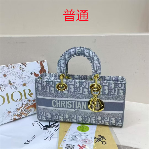 Dior bag-0140