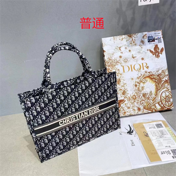 Dior bag-0178