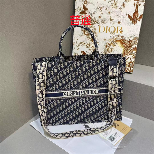Dior bag-0182
