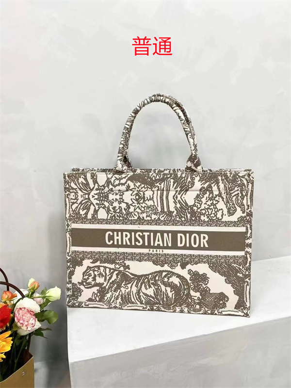 Dior bag-0188