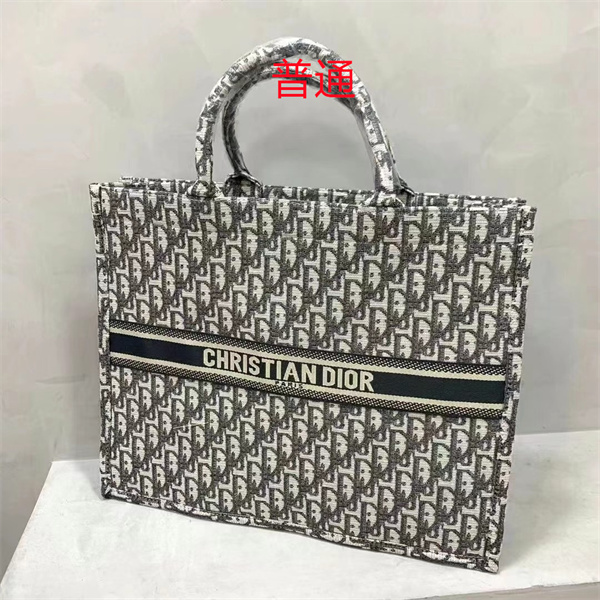 Dior bag-0196