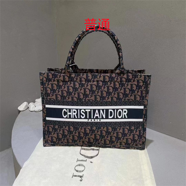 Dior bag-0208
