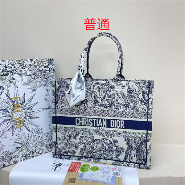 Dior bag-0222