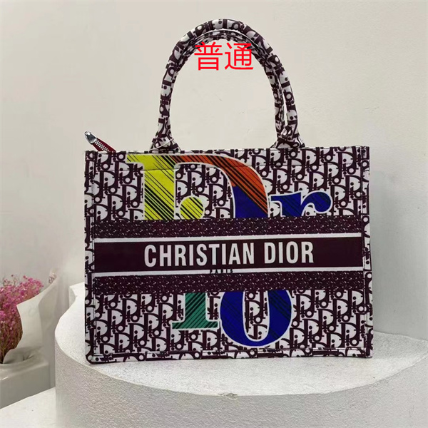 Dior bag-0235