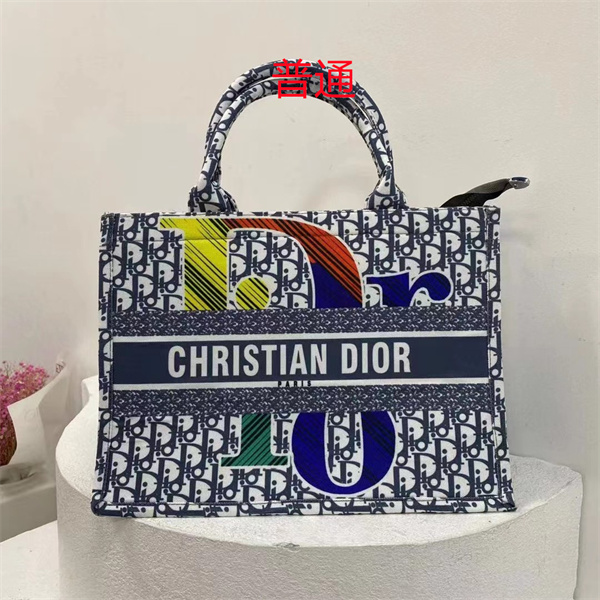 Dior bag-0238
