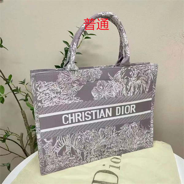 Dior bag-0242