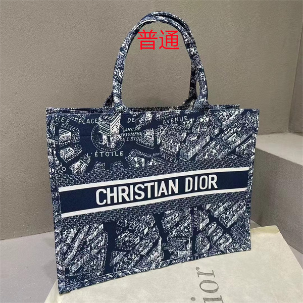 Dior bag-0243