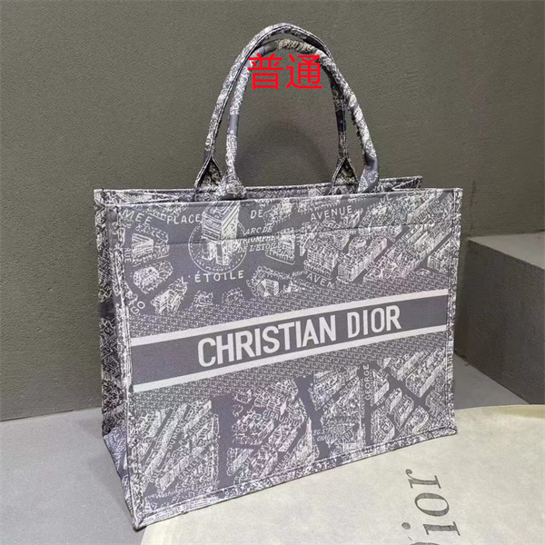 Dior bag-0245