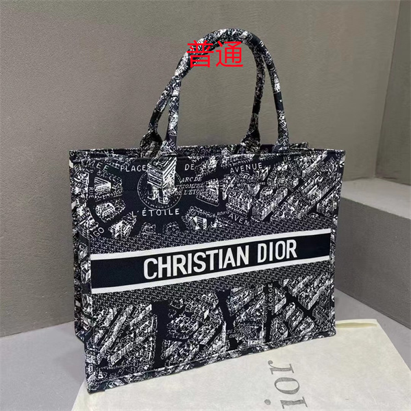 Dior bag-0246