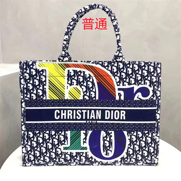 Dior bag-0250