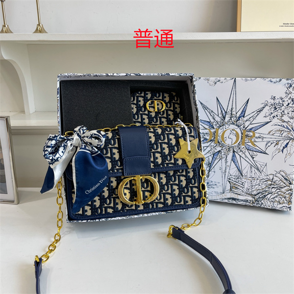 Dior bag-0264