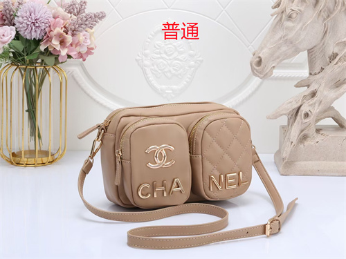 Chanel small bag-0029