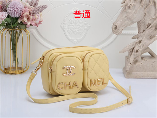 Chanel small bag-0031