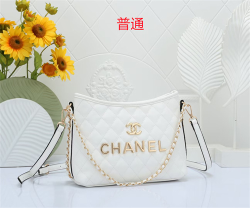 Chanel small bag-0039