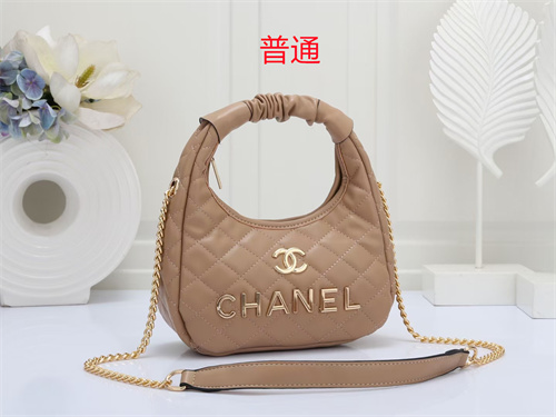 Chanel small bag-0042